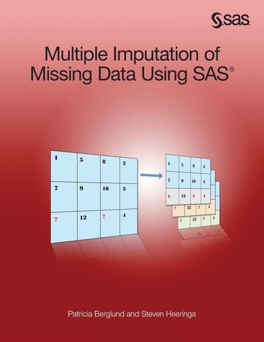 Patricia Berglund, Steven G Heeringa - Multiple Imputation of Missing Data Using SAS, Häftad