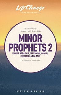 bokomslag Minor Prophets 2