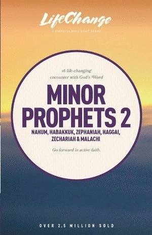 bokomslag Minor Prophets 2