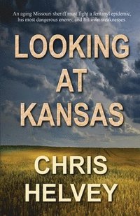 bokomslag Looking at Kansas