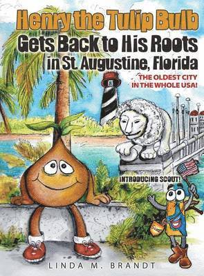 Henry the Tulip Bulb Gets Back to His Roots in St. Augustine, Florida 1