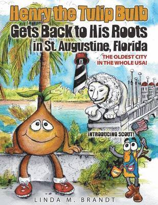 Henry the Tulip Bulb Gets Back to His Roots in St. Augustine, Florida 1