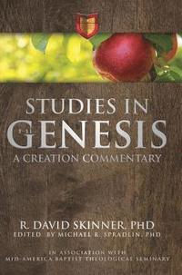 bokomslag Studies in Genesis 1-11