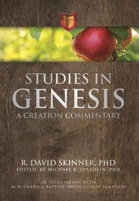 bokomslag Studies in Genesis 1-11