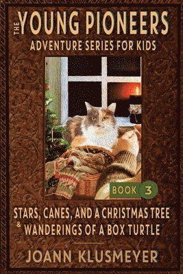 Stars, Canes, and a Christmas Tree & the Wanderings of a Box Turtle