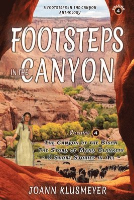 bokomslag Canyon of the Bison and The Story of the Many Blankets