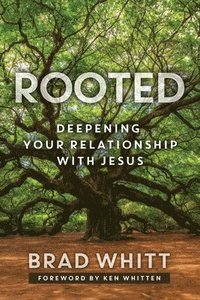 bokomslag Rooted