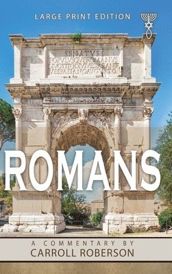 bokomslag Romans