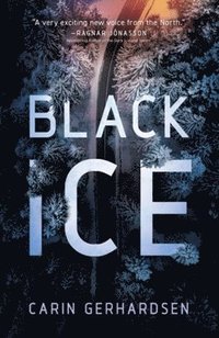 bokomslag Black Ice