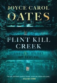 bokomslag Flint Kill Creek