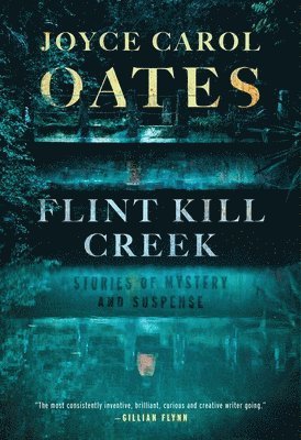 bokomslag Flint Kill Creek