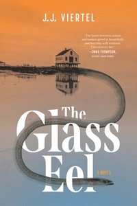 bokomslag The Glass Eel