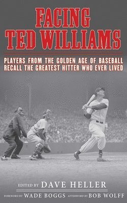 Facing Ted Williams 1