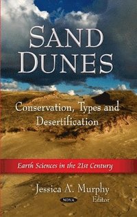 bokomslag Sand Dunes