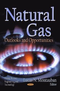 bokomslag Natural Gas