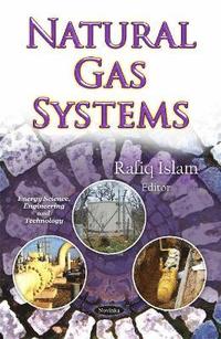 bokomslag Natural Gas Systems