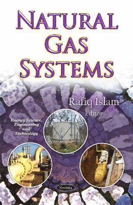 bokomslag Natural Gas Systems