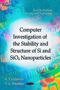 bokomslag Computer Investigation of the Stability & Structure of Si & SiO2 Nanoparticles
