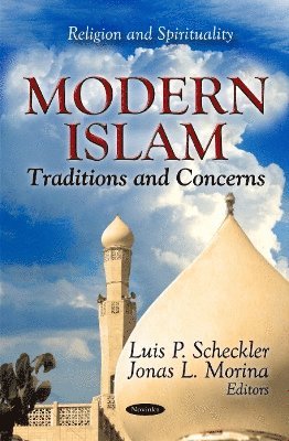 bokomslag Modern Islam