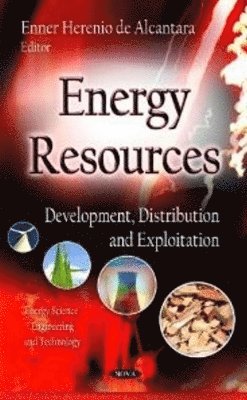 bokomslag Energy Resources
