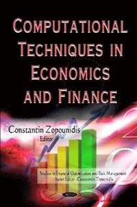 bokomslag Computational Techniques in Economics & Finance
