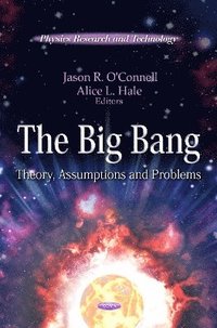 bokomslag Big Bang