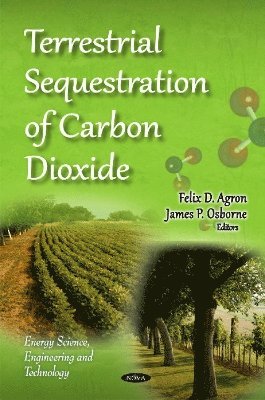bokomslag Terrestrial Sequestration of Carbon Dioxide