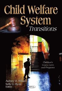 bokomslag Child Welfare System