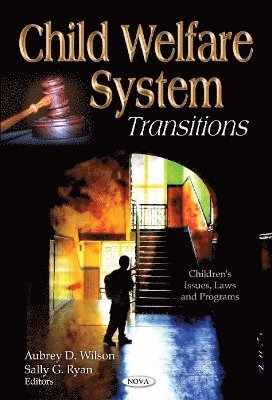 bokomslag Child Welfare System