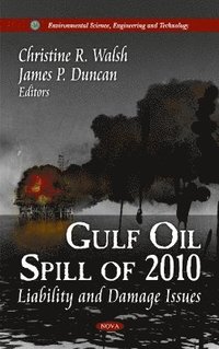 bokomslag Gulf Oil Spill of 2010