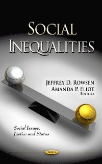 bokomslag Social Inequalities