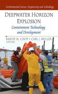 bokomslag Deepwater Horizon Explosion