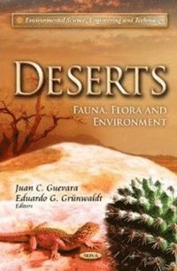 bokomslag Deserts