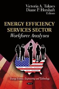 bokomslag Energy Efficiency Services Sector