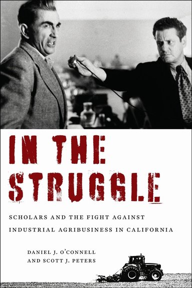 Daniel J. O'Connell, Scott J. Peters - In the Struggle, Inbunden