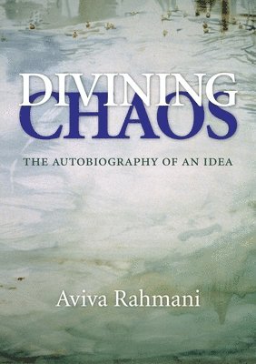 bokomslag Divining Chaos