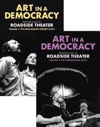 bokomslag Art in a Democracy