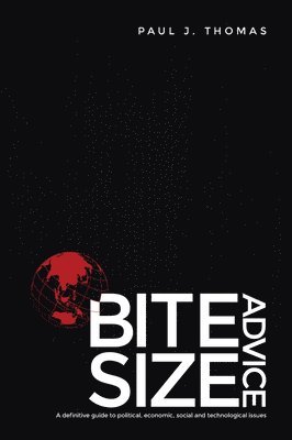bokomslag Bite Size Advice: A Definitive Guide to Political, Economic, Social and Technological Issues