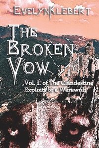 bokomslag The Broken Vow