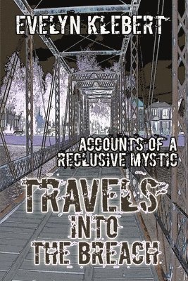 Evelyn Klebert - Travels into the Breach, Häftad