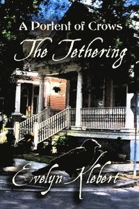 bokomslag The Tethering