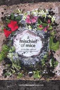 bokomslag A Mischief of Mice
