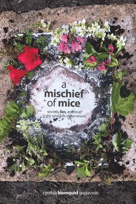 Cynthia Blomquist Gustavson - Mischief of Mice, Häftad