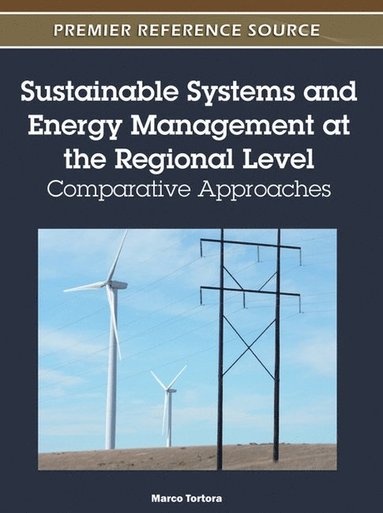 bokomslag Sustainable Systems and Energy Management at the Regional Level
