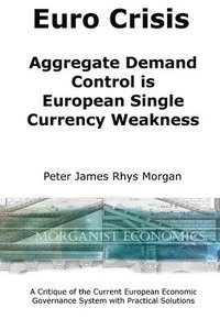 bokomslag Euro Crisis Aggregate Demand Control is European Single Currency Weakness