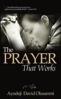 bokomslag Prayer That Works