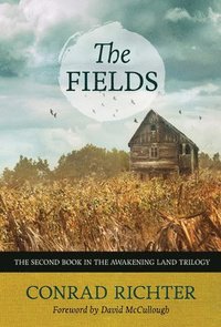 bokomslag The Fields Volume 30