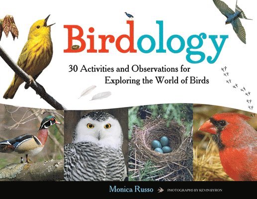 Birdology 1