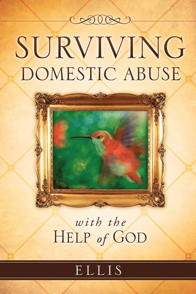 bokomslag Surviving Domestic Abuse