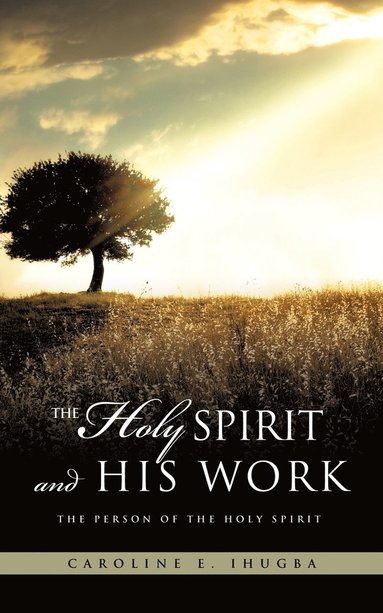 bokomslag Holy Spirit and His Work